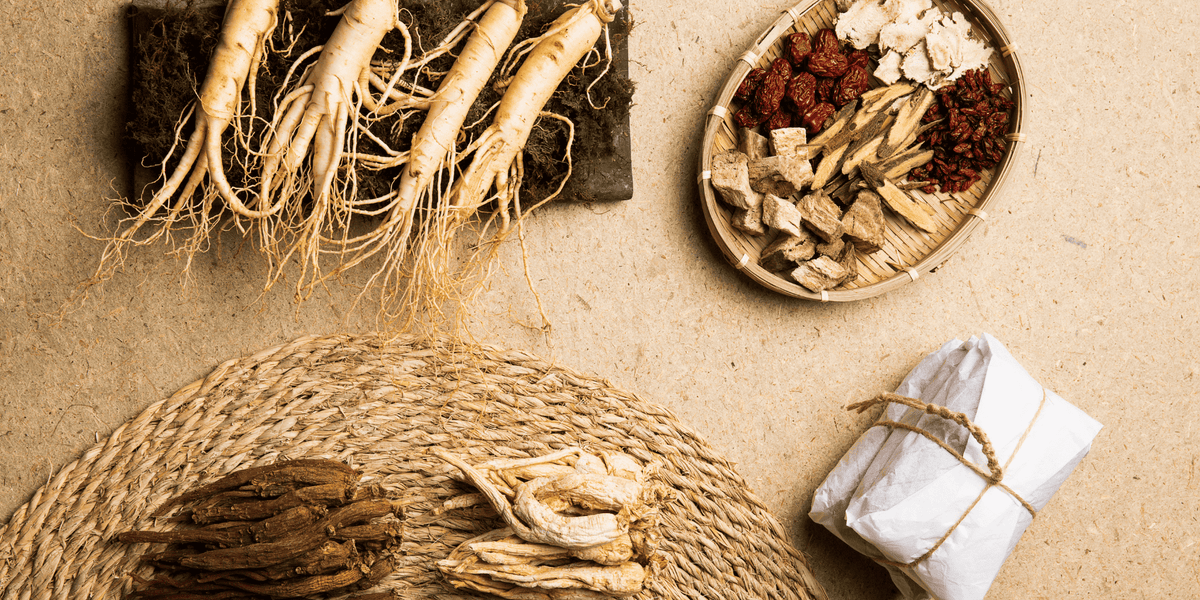 Adaptogene: Welche Pflanzen helfen bei Stress und Müdigkeit? - Cellavent Healthcare