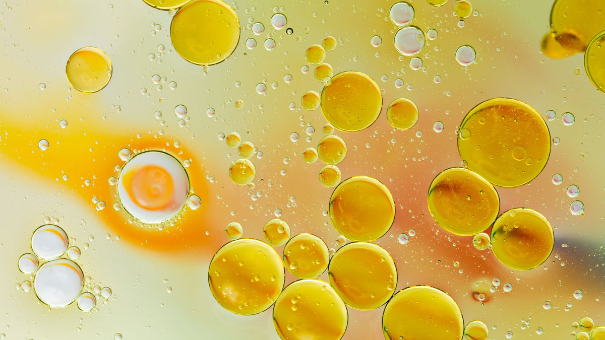 Kurkuma & Curcumin – Kapseln, Tabletten & Pulver