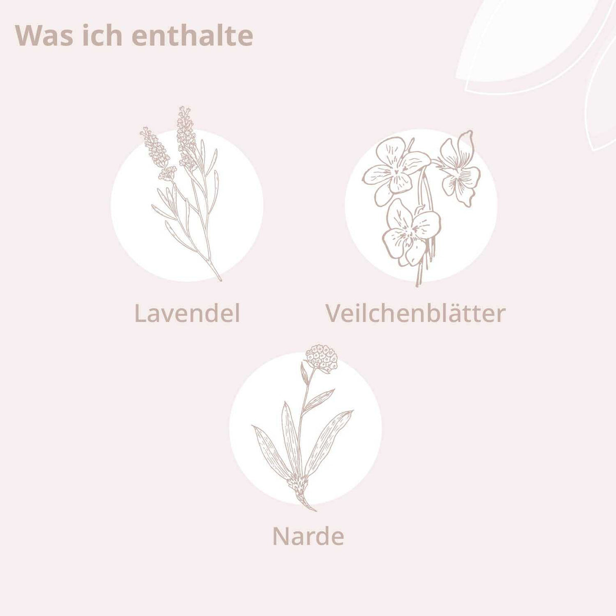 Bio - Mama Care Körperöl - Cellavent Healthcare