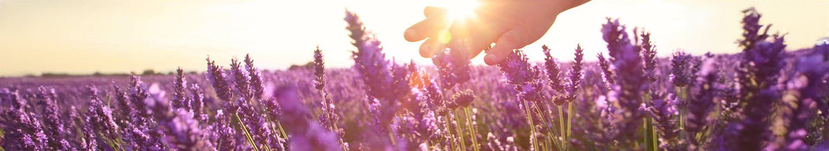 kindgesund -  Sparpakete - Aroma-Care - Cellavent Healthcare