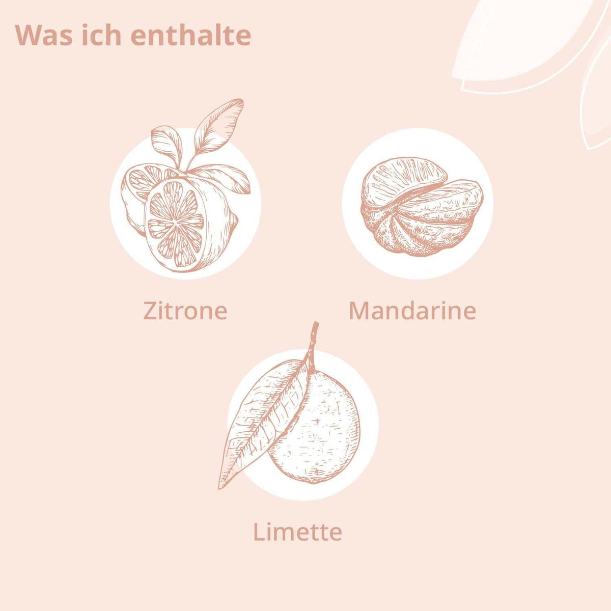 Bio - Fühl Dich Wohl Roll - On - Cellavent Healthcare