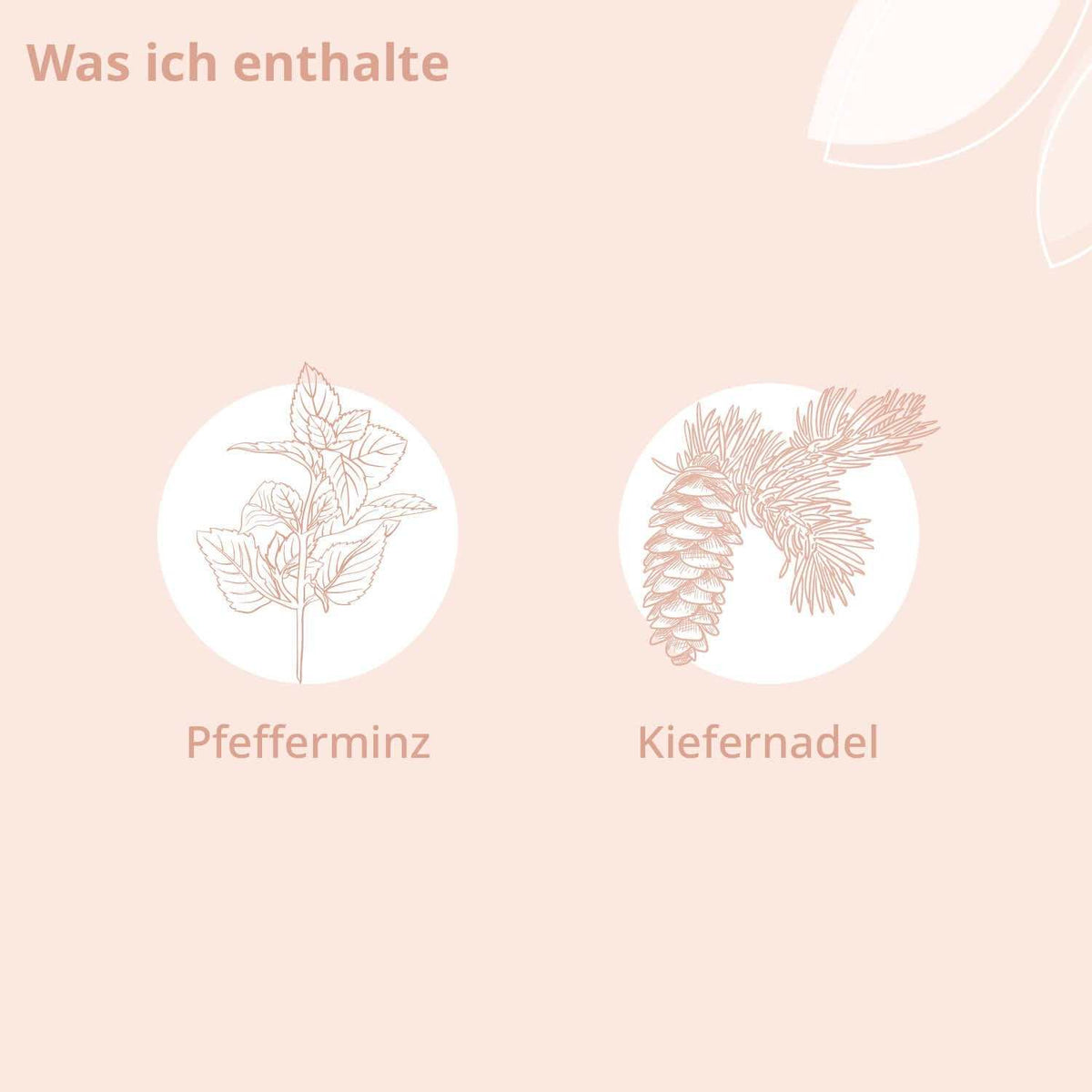 Bio - Lern Wohl Roll - On - Cellavent Healthcare