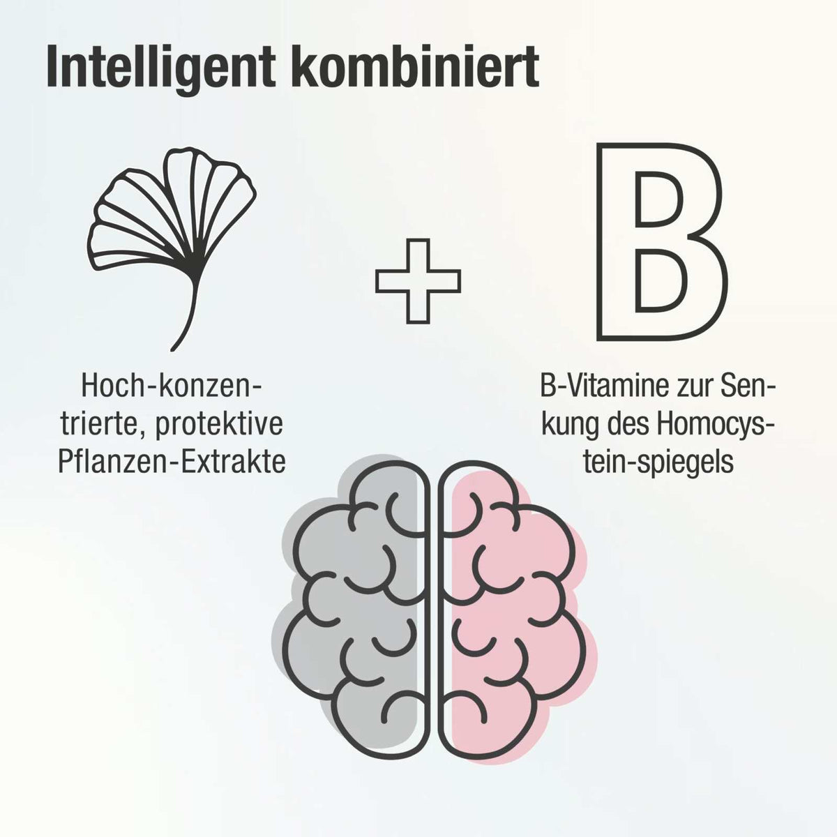 Ginkgo Kapseln mit Bacopa & Ginseng – Cogni PLUS - Cellavent Healthcare