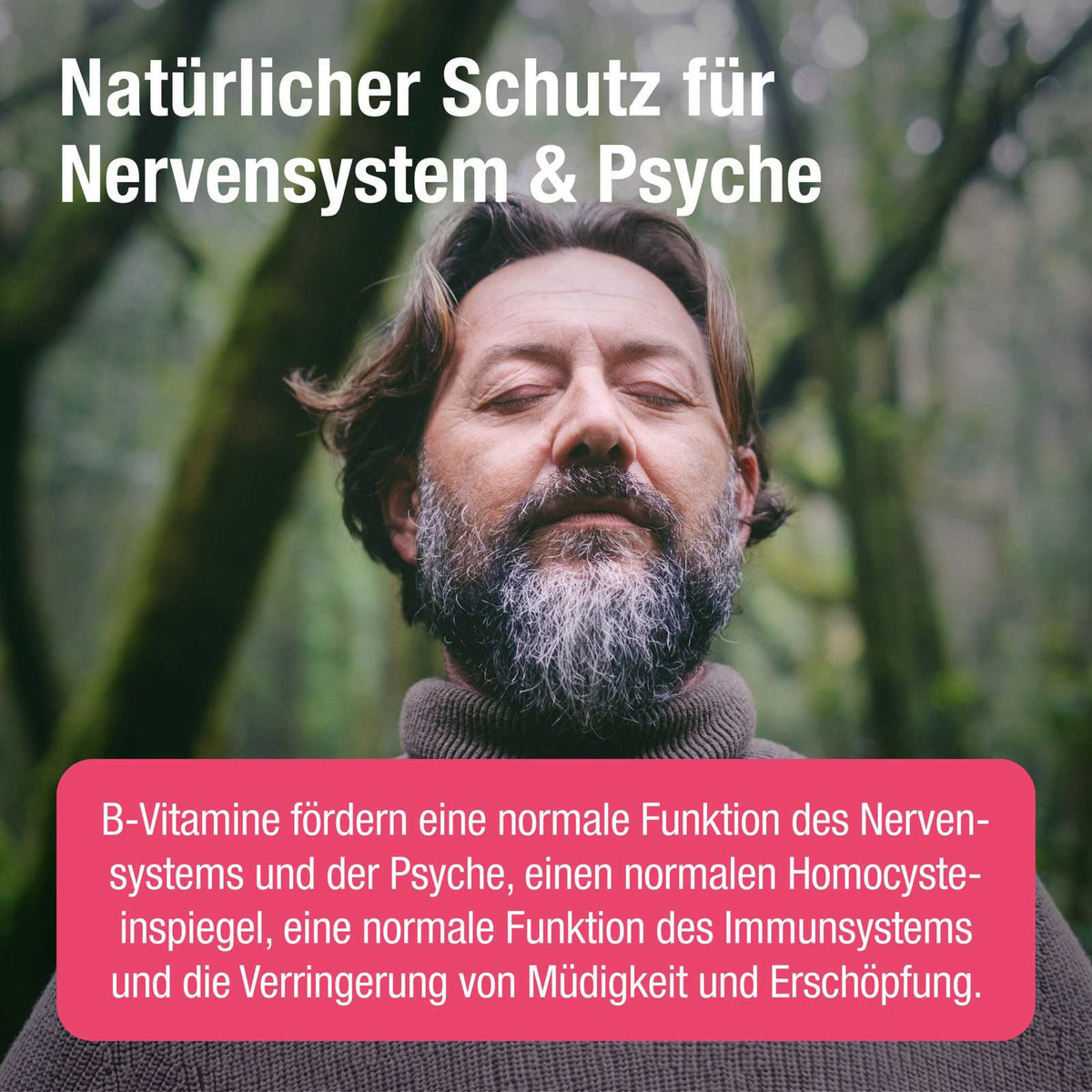 Ginkgo Kapseln mit Bacopa & Ginseng – Cogni PLUS - Cellavent Healthcare