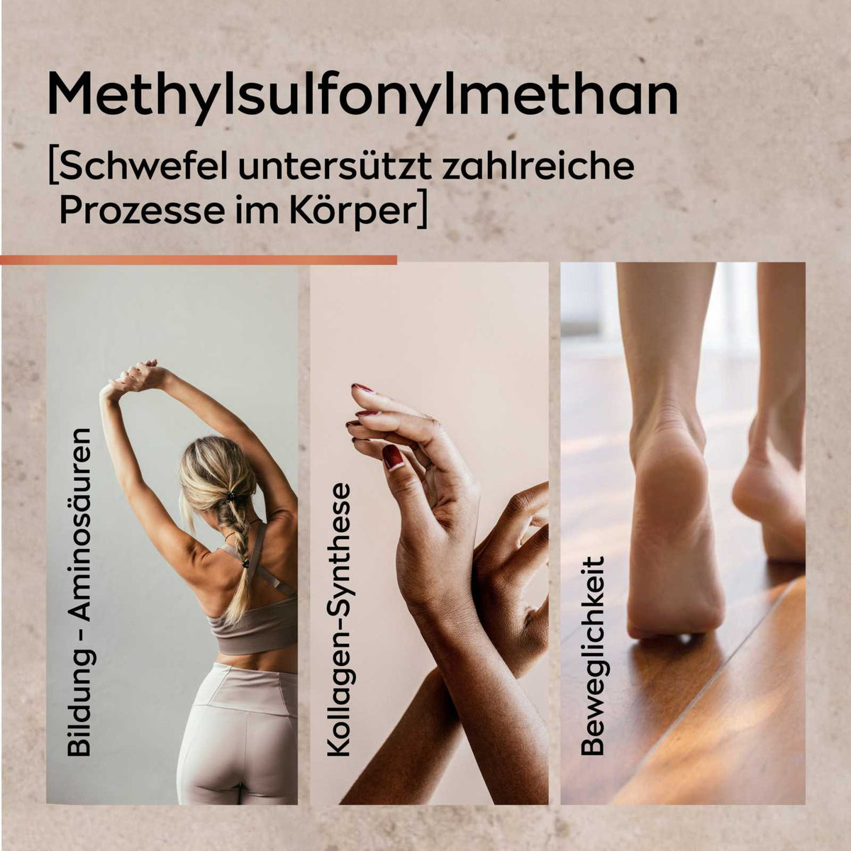 MSM Kapseln [Methylsulfonylmethan] - Cellavent essentials - Cellavent Healthcare